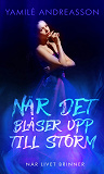 Cover for När det blåser upp till storm