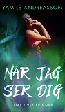 Cover for När jag ser dig