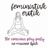 Omslagsbild för The conscious play party  - Feministisk erotik 