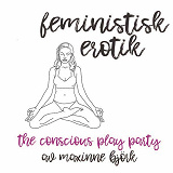 Bokomslag för The conscious play party  - Feministisk erotik 