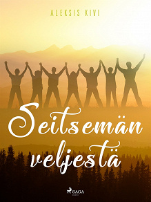 Omslagsbild för Seitsemän veljestä