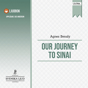 Omslagsbild för Our Journey to Sinai