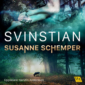 Cover for Svinstian