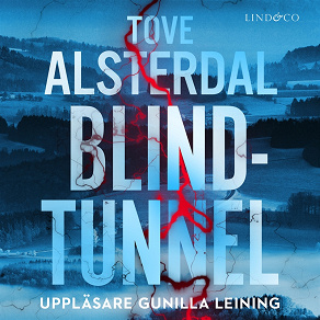 Cover for Blindtunnel