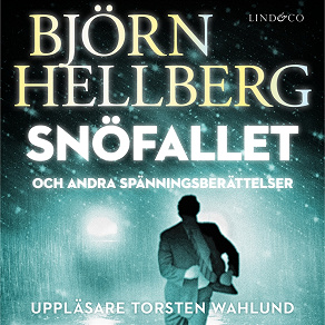 Cover for Snöfallet och andra spänningsberättelser