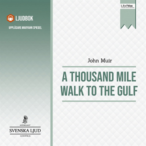 Omslagsbild för A Thousand Mile Walk to the Gulf