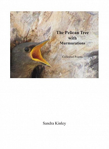 Omslagsbild för The Pelican Tree with Murmurations