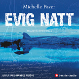 Cover for Evig natt : en arktisk spökroman