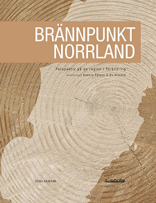 Omslagsbild för Brännpunkt Norrland : Perspektiv på en region i förändring