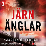 Omslagsbild för Järnänglar