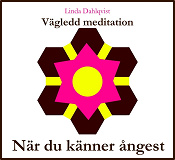 Omslagsbild för När du känner ångest - Vägledd meditation