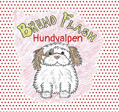 Omslagsbild för Bruno Flash Hundvalpen