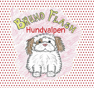 Omslagsbild för Bruno Flash Hundvalpen
