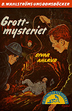 Cover for Tvillingdetektiverna 30 - Grott-mysteriet