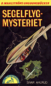 Omslagsbild för Tvillingdetektiverna 43 - Segelflyg-mysteriet