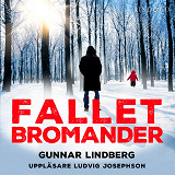 Cover for Fallet Bromander