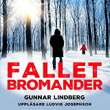 Omslagsbild för Fallet Bromander