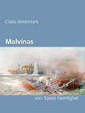 Omslagsbild för Malvinas: von Spees hemlighet