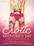 Omslagsbild för Erotic Valentine's Day - 6 eroottista novellia