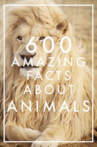 Omslagsbild för 600 Amazing Facts About Animals (Epub2)