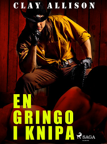 Cover for En gringo i knipa