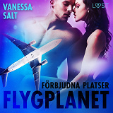 Omslagsbild för Förbjudna platser: Flygplanet