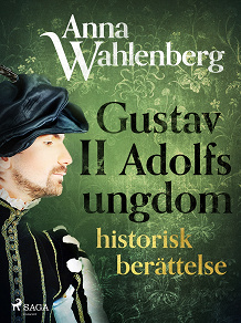 Omslagsbild för Gustav II Adolfs ungdom: historisk berättelse