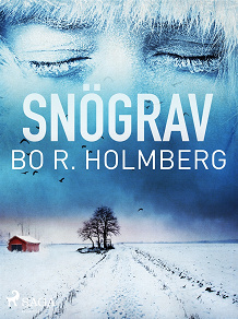 Omslagsbild för Snögrav