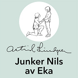 Omslagsbild för Junker Nils av Eka