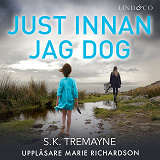 Omslagsbild för Just innan jag dog