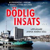 Omslagsbild för Dödlig insats