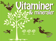 Omslagsbild för Hälsoserien : Vitaminer och mineraler (PDF)