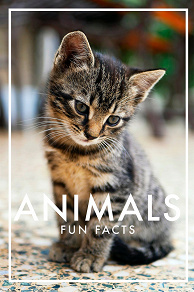 Omslagsbild för Animals Fun Facts (Epub2)