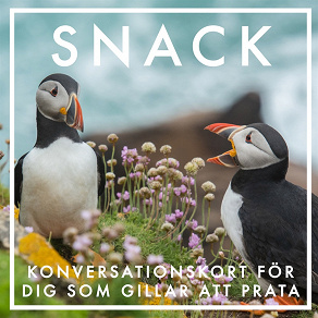 Cover for SNACK : Konversationskort för dig som gillar att prata (Epub2)