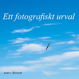 Omslagsbild för Ett fotografiskt urval