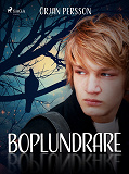 Cover for Boplundrare