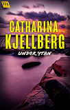 Cover for Under ytan