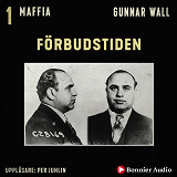 Omslagsbild för Förbudstiden