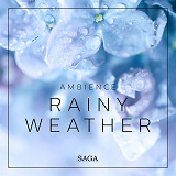 Omslagsbild för Ambience - Rainy Weather