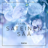 Omslagsbild för Tunnelma - Sateinen sää