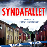 Omslagsbild för Syndafallet