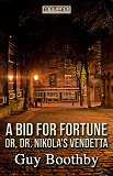 Cover for A Bid for Fortune