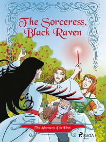 Omslagsbild för The Adventures of the Elves 2: The Sorceress, Black Raven