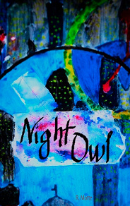 Omslagsbild för Night Owl
