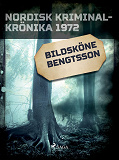 Omslagsbild för Bildsköne Bengtsson