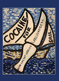 Omslagsbild för Cocaine for sail