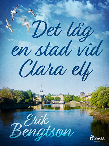 Omslagsbild för Det låg en stad vid Clara elf