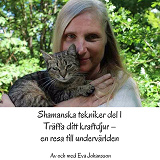 Omslagsbild för Shamanska tekniker del 1 