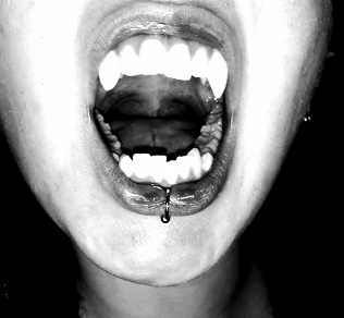 Omslagsbild för Veren hinta: ja kuinka minusta tuli vampyyri.