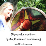 Omslagsbild för Shamanska tekniker del 6